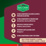 DOG CHOW® Adultos Todos los Tamaños Multi Proteínas (Carne, Pollo, Salmón, Cerdo y Pavo) - Imagen 2