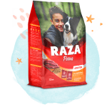RAZA - Alimento Perros Adulto Carne 20KG